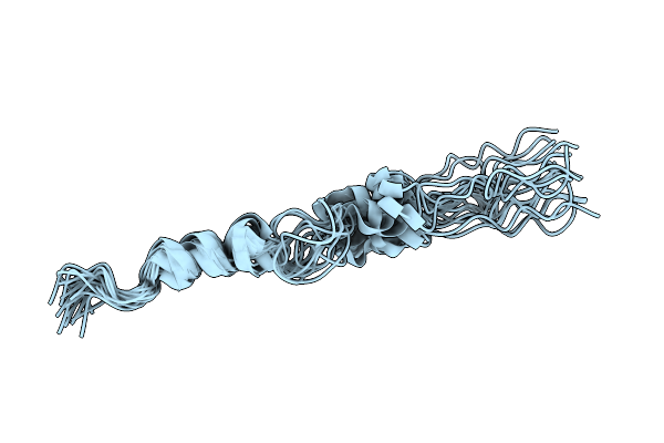 5N5A image