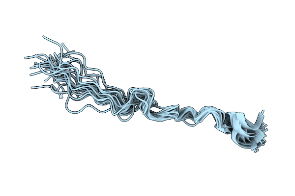 5N5B image