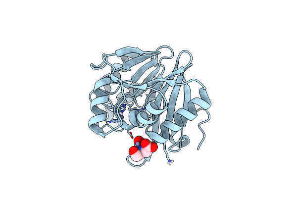 5N5G image