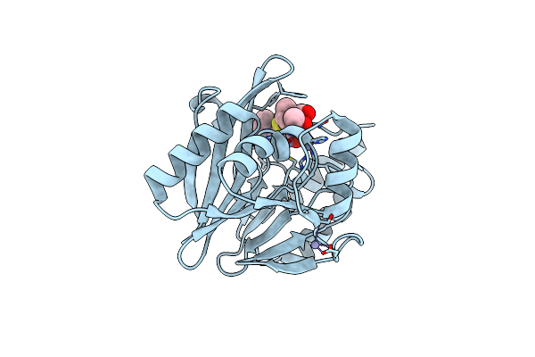 5N5I image