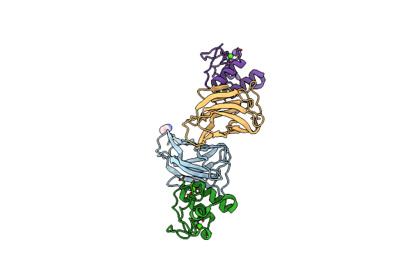 5N5P image