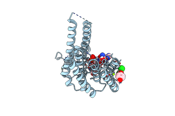 5N5T image