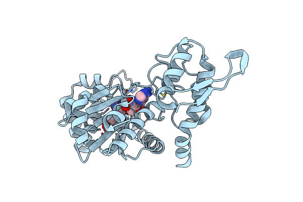 5N5U image