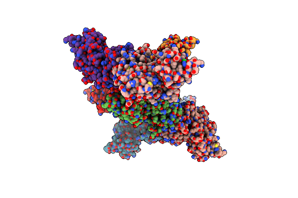 5N5V image