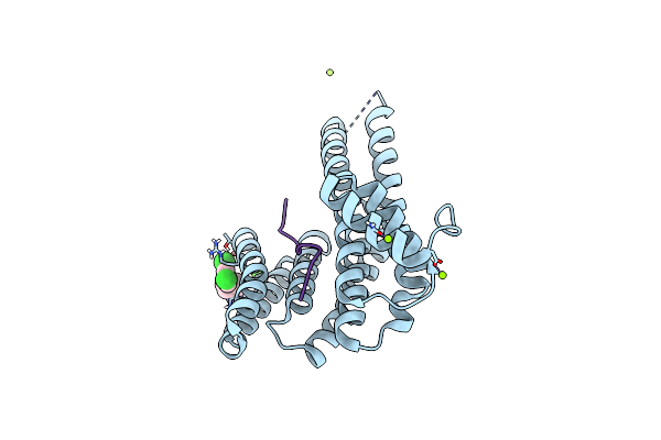 5N5W image