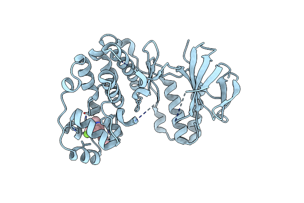 5N63 image