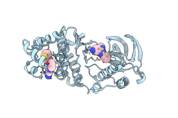 5N65 image