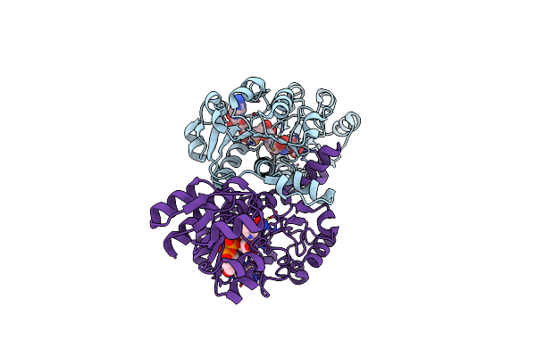 5N6C image