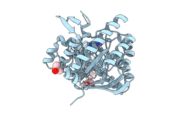 5N6F image