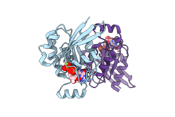 5N6O image