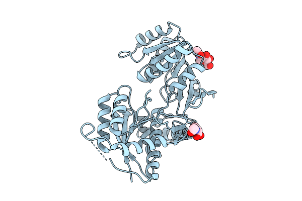 5N6P image