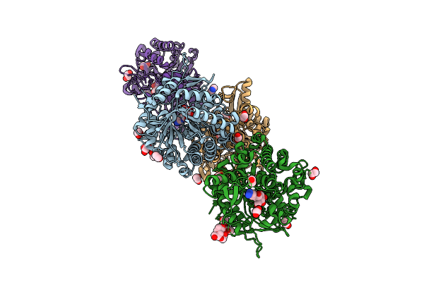 5N6S image