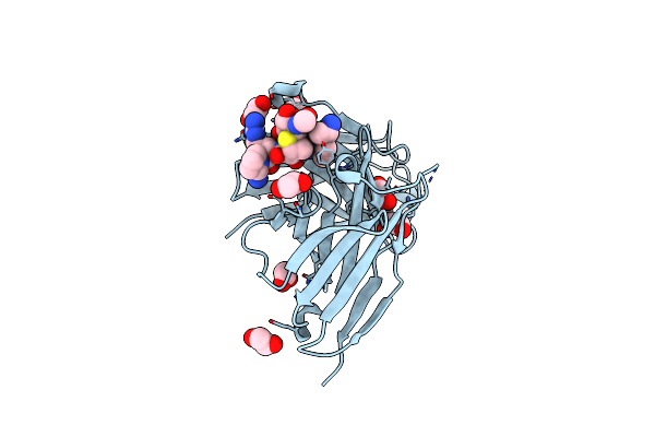 5N7B image