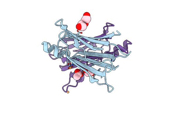 5N7C image