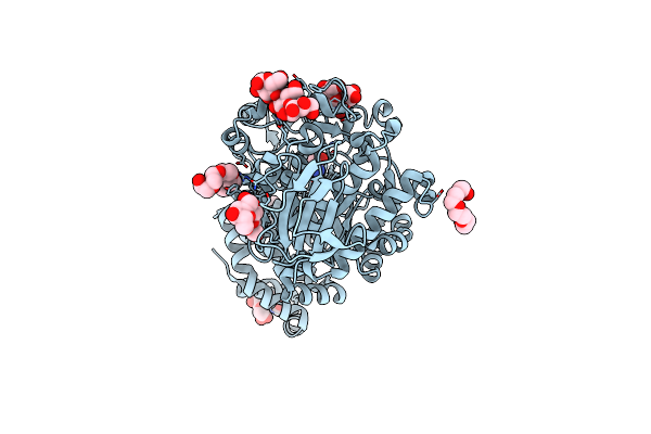 5N7J image