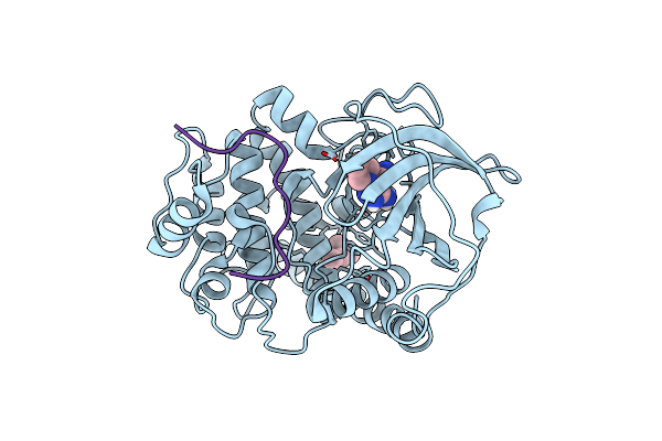 5N7P image