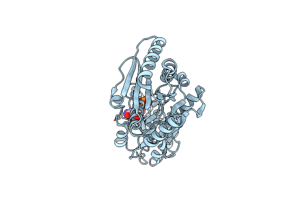 5N80 image