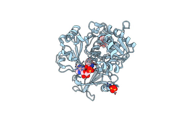 5N82 image