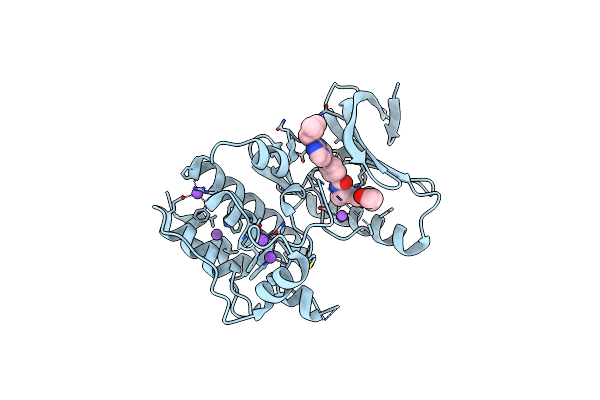 5N84 image