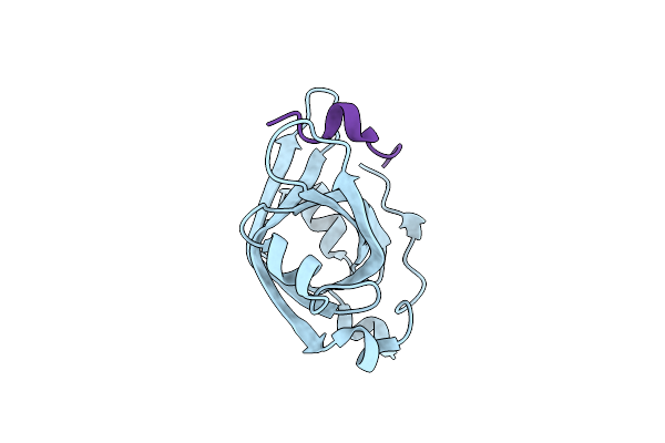 5N85 image