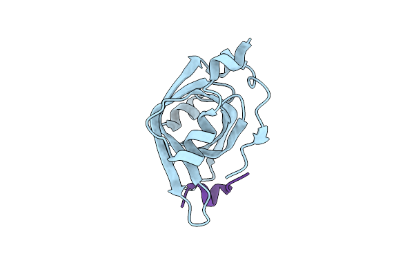 5N8A image