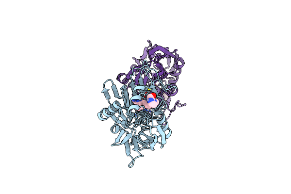5N8C image