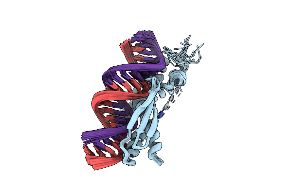 5N8L image