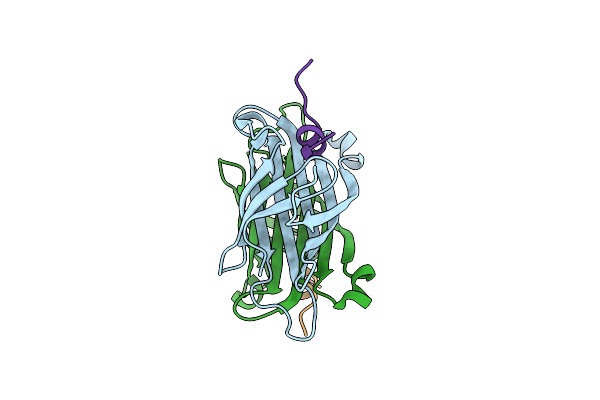 5N8W image