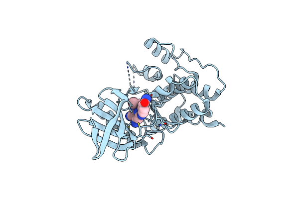 5N93 image