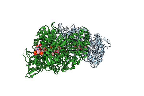 5N94 image
