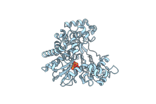 5N95 image