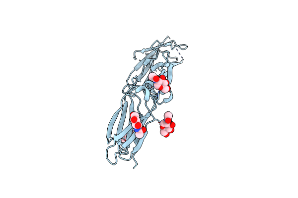 5N9B image