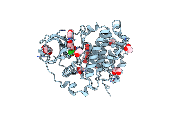 5N9N image