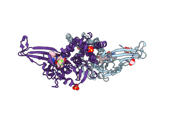 5N9T image