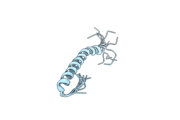 5NAM image