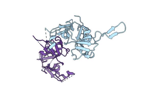 5NB2 image