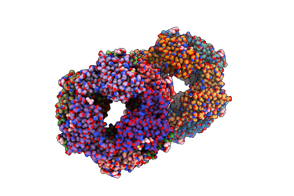 5NB3 image