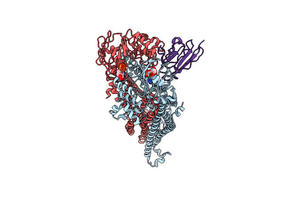 5NBD image