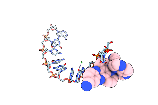 5NBE image