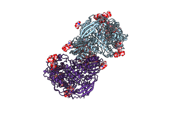 5NBS image