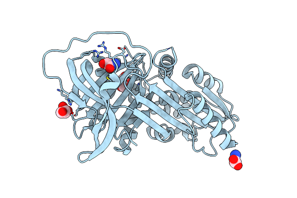 5NBU image