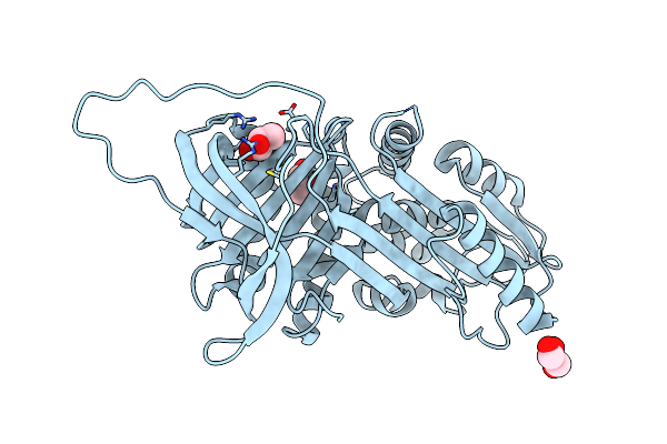5NBV image