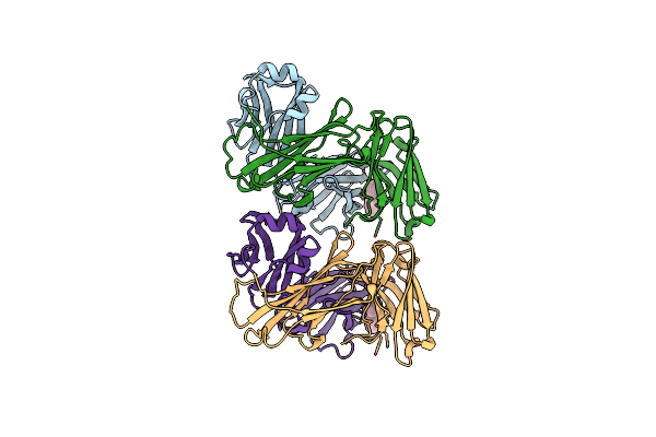 5NBW image
