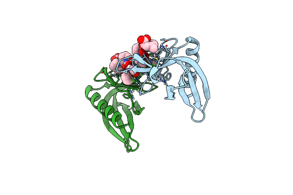 5NBX image