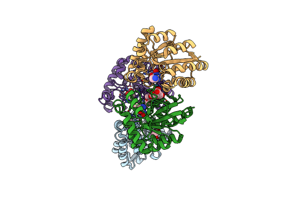 5NC9 image
