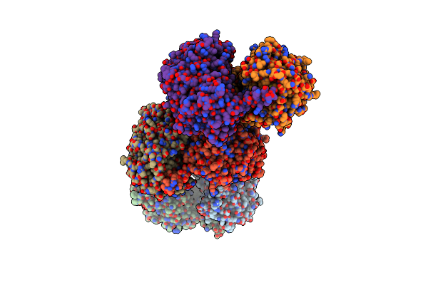 5NCC image