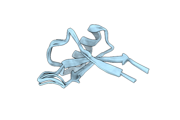 5NCE image