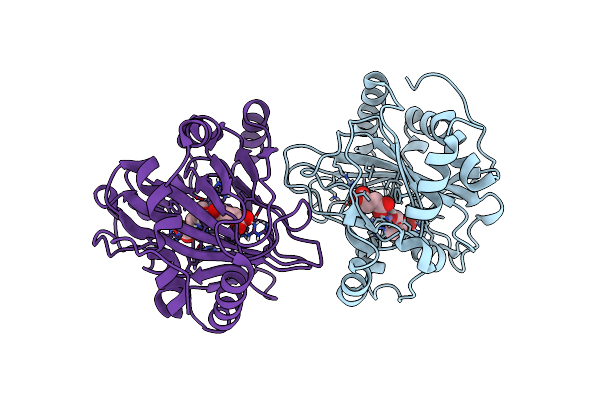 5NCJ image