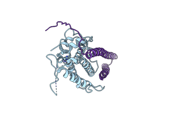 5NCM image