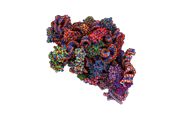 5NCO image